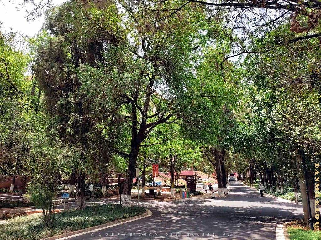 Kunming - Universite du Yunnan (46).jpg